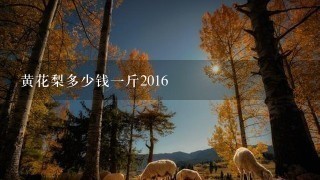 黄花梨多少钱1斤2016 黄花梨多少钱1斤2016