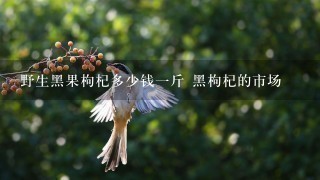 野生黑果枸杞多少钱1斤 黑枸杞的市场 野生黑果枸杞多少钱1斤 黑枸杞的市场