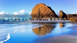 野生甲鱼多少钱1斤?2019最新报价? 野生甲鱼多少钱1斤?2019最新报价?