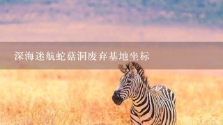 深海迷航蛇菇洞废弃基地坐标 深海迷航蛇菇洞废弃基地坐标