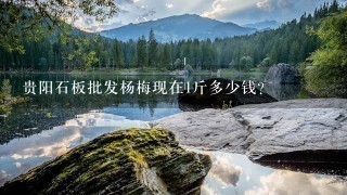 贵阳石板批发杨梅现在1斤多少钱? 贵阳石板批发杨梅现在1斤多少钱?