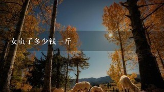 女贞子多少钱1斤 女贞子多少钱1斤
