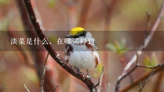 淡菜是什么,在哪买得到 淡菜是什么,在哪买得到
