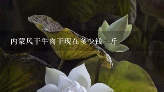 内蒙风干牛肉干现在多少钱1斤 内蒙风干牛肉干现在多少钱1斤
