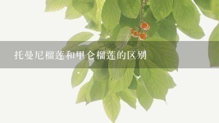 托曼尼榴莲和甲仑榴莲的区别 托曼尼榴莲和甲仑榴莲的区别