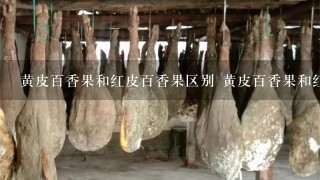 黄皮百香果和红皮百香果区别 黄皮百香果和红皮百香 黄皮百香果和红皮百香果区别 黄皮百香果和红皮百香