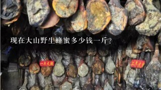 现在大山野生蜂蜜多少钱1斤? 现在大山野生蜂蜜多少钱1斤?
