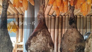 鮰鱼多少钱1斤 鮰鱼多少钱1斤