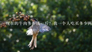 现在的牛肉多少钱1斤?我1个人吃买多少两合适? 现在的牛肉多少钱1斤?我1个人吃买多少两合适?