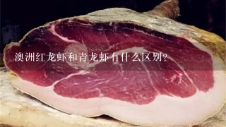 澳洲红龙虾和青龙虾有什么区别? 澳洲红龙虾和青龙虾有什么区别?