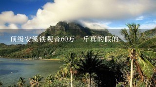 顶级安溪铁观音60万1斤真的假的 顶级安溪铁观音60万1斤真的假的
