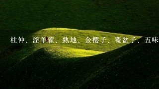 杜仲、淫羊藿、熟地、金樱子、覆盆子、5味子这几味 杜仲、淫羊藿、熟地、金樱子、覆盆子、5味子这几味