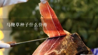马鞭草种子什么价格 马鞭草种子什么价格