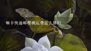 顺丰快递邮樱桃运费怎么算的 顺丰快递邮樱桃运费怎么算的