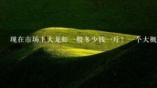 现在市场上大龙虾1般多少钱1斤?1个大概几斤呢? 现在市场上大龙虾1般多少钱1斤?1个大概几斤呢?