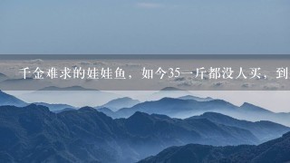 千金难求的娃娃鱼,如今351斤都没人买,到底是为什 千金难求的娃娃鱼,如今351斤都没人买,到底是为什