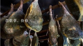 苜蓿草,价格 苜蓿草,价格