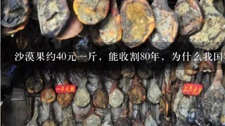 沙漠果约40元1斤,能收割80年,为什么我国种它的人 沙漠果约40元1斤,能收割80年,为什么我国种它的人