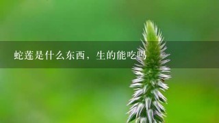 蛇莲是什么东西,生的能吃吗 蛇莲是什么东西,生的能吃吗