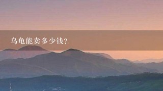 乌龟能卖多少钱? 乌龟能卖多少钱?