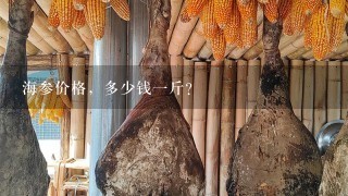 海参价格,多少钱1斤? 海参价格,多少钱1斤?