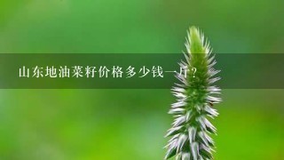 山东地油菜籽价格多少钱1斤? 山东地油菜籽价格多少钱1斤?
