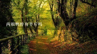 两根鸭脖有半斤吗 两根鸭脖有半斤吗