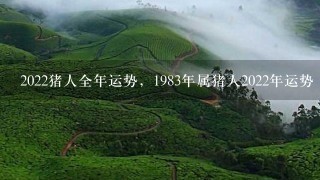 2022猪人全年运势,1983年属猪人2022年运势 2022猪人全年运势,1983年属猪人2022年运势