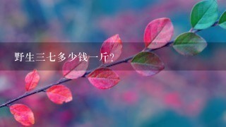野生37多少钱1斤? 野生37多少钱1斤?