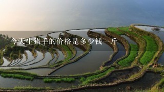 今天生猪手的价格是多少钱1斤 今天生猪手的价格是多少钱1斤