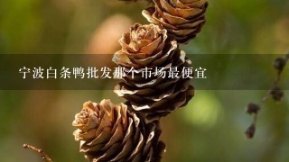 宁波白条鸭批发那个市场最便宜 宁波白条鸭批发那个市场最便宜