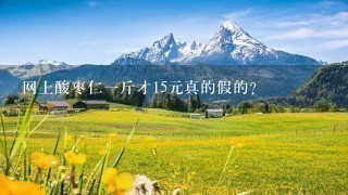 网上酸枣仁1斤才15元真的假的? 网上酸枣仁1斤才15元真的假的?