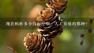 现在蚂蚱多少钱1斤啊,人工养殖的那种? 现在蚂蚱多少钱1斤啊,人工养殖的那种?
