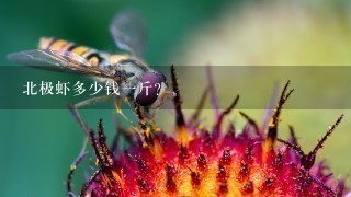 北极虾多少钱1斤? 北极虾多少钱1斤?