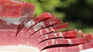30140斤小猪多少钱1斤? 30140斤小猪多少钱1斤?