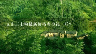 文山37粉最新价格多少钱1斤? 文山37粉最新价格多少钱1斤?