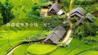 新疆骏枣多少钱1斤? 新疆骏枣多少钱1斤?