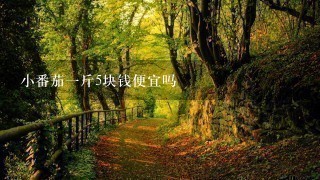 小番茄1斤5块钱便宜吗 小番茄1斤5块钱便宜吗