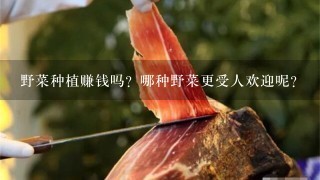 野菜种植赚钱吗?哪种野菜更受人欢迎呢? 野菜种植赚钱吗?哪种野菜更受人欢迎呢?