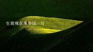 生猪现在多少钱1斤 生猪现在多少钱1斤