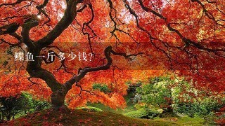 鲽鱼1斤多少钱? 鲽鱼1斤多少钱?