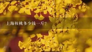 上海核桃多少钱1斤? 上海核桃多少钱1斤?