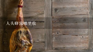 人头蜂窝哪里收 人头蜂窝哪里收