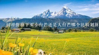 同样价格下买小台芒还是大台芒哪个比较划算? 同样价格下买小台芒还是大台芒哪个比较划算?