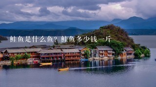 鲑鱼是什么鱼?鲑鱼多少钱1斤 鲑鱼是什么鱼?鲑鱼多少钱1斤