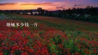 塘鲺多少钱1斤 塘鲺多少钱1斤
