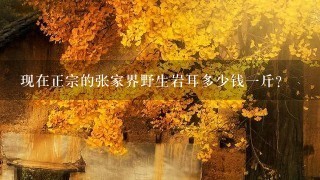 现在正宗的张家界野生岩耳多少钱1斤? 现在正宗的张家界野生岩耳多少钱1斤?