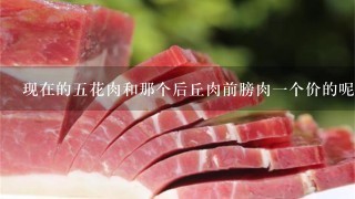 现在的5花肉和那个后丘肉前膀肉1个价的呢 现在的5花肉和那个后丘肉前膀肉1个价的呢