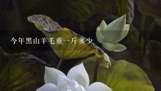 今年黑山羊毛重1斤多少 今年黑山羊毛重1斤多少