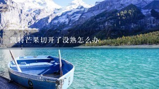 凯特芒果切开了没熟怎么办 凯特芒果切开了没熟怎么办